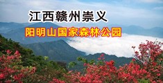骚逼性感美女被操逼